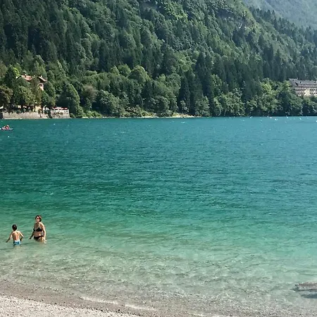 Genzianella Molveno-andalo Apartment *