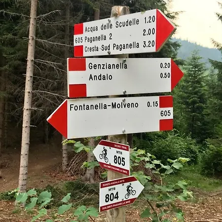 Genzianella Molveno-andalo