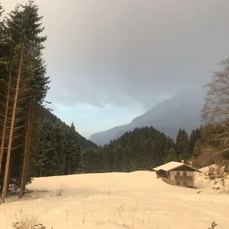 Genzianella Molveno-andalo Molveno