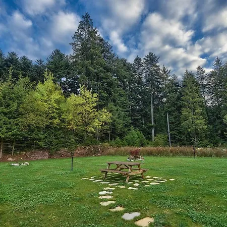Apartament Genzianella Molveno-andalo Molveno