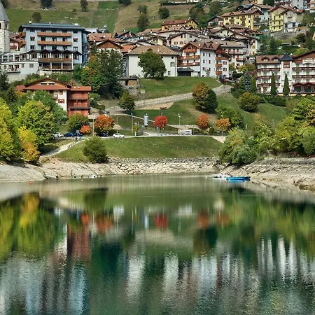 Genzianella Molveno-andalo *